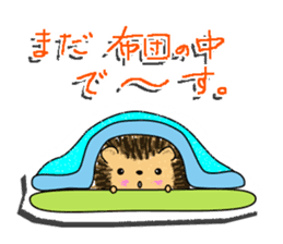 The 1st of hedgehog Hopi. sticker #6561850