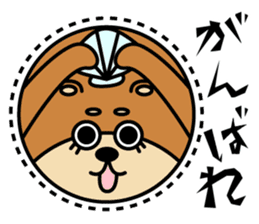 zoo and aquarium sticker #6562411