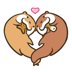 Kotsumetti of Small-clawed otter 04