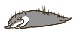 Kotsumetti of Small-clawed otter 04 sticker #6562736