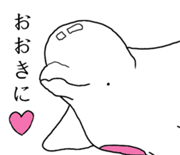 beluga Jr 2nd sticker #6563226