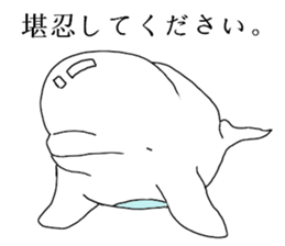 beluga Jr 2nd sticker #6563228