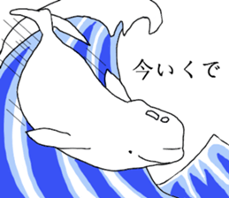 beluga Jr 2nd sticker #6563230