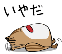 Cute Cute Chipmunk sticker #6563509