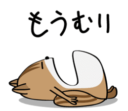 Cute Cute Chipmunk sticker #6563510