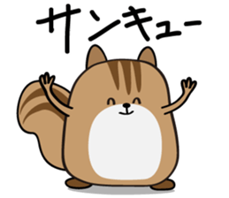 Cute Cute Chipmunk sticker #6563514