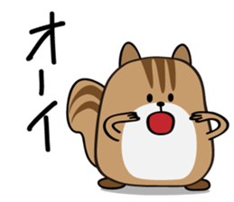 Cute Cute Chipmunk sticker #6563516