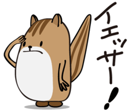 Cute Cute Chipmunk sticker #6563521