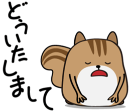 Cute Cute Chipmunk sticker #6563523