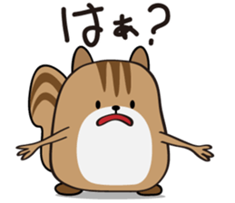 Cute Cute Chipmunk sticker #6563525