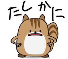 Cute Cute Chipmunk sticker #6563530