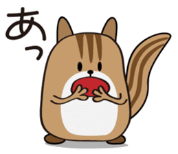 Cute Cute Chipmunk sticker #6563532