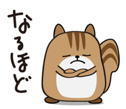 Cute Cute Chipmunk sticker #6563539