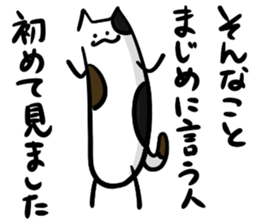 Three bad cats sticker #6565919