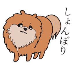 Chow Chow boss and Usako's daily sticker #6566623