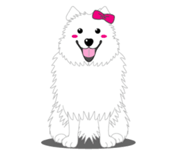 Samoyed Dog is always smiling. sticker #6568584