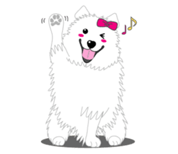 Samoyed Dog is always smiling. sticker #6568585