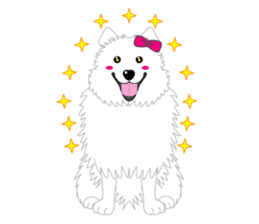 Samoyed Dog is always smiling. sticker #6568590
