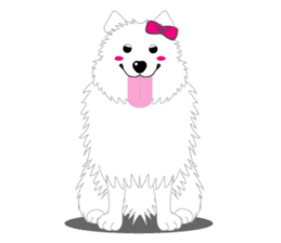 Samoyed Dog is always smiling. sticker #6568596