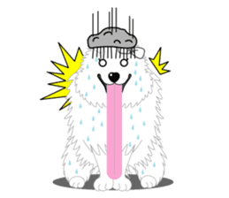 Samoyed Dog is always smiling. sticker #6568598