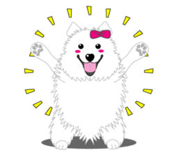 Samoyed Dog is always smiling. sticker #6568600