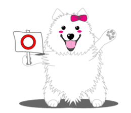 Samoyed Dog is always smiling. sticker #6568601