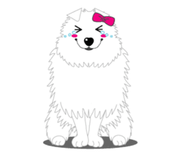 Samoyed Dog is always smiling. sticker #6568605