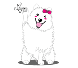 Samoyed Dog is always smiling. sticker #6568608