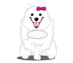 Samoyed Dog is always smiling. sticker #6568610