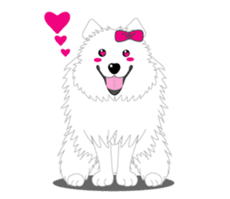 Samoyed Dog is always smiling. sticker #6568611