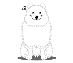 Samoyed Dog is always smiling. sticker #6568612