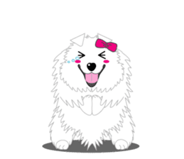 Samoyed Dog is always smiling. sticker #6568614