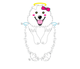 Samoyed Dog is always smiling. sticker #6568620