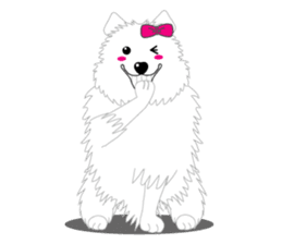 Samoyed Dog is always smiling. sticker #6568621