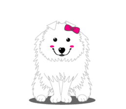 Samoyed Dog is always smiling. sticker #6568622