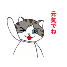 Myaako of heart cat The seasonal volume sticker #6569707