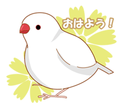small bird Sticker sticker #6570827