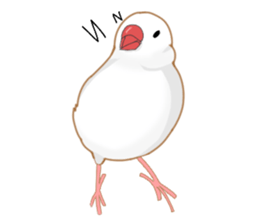 small bird Sticker sticker #6570835