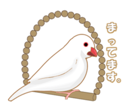 small bird Sticker sticker #6570842