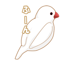 small bird Sticker sticker #6570846
