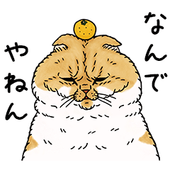 สติ๊กเกอร์ไลน์ STRANGE WORLD OF CATS -Kansai dialect-