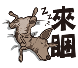 0.5mm TAIWAN DOG sticker #6571872