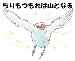 Lord Java sparrow's heavenly words. sticker #6573146