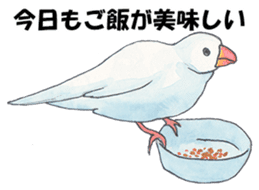 Lord Java sparrow's heavenly words. sticker #6573147