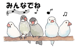 Lord Java sparrow's heavenly words. sticker #6573148