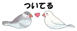 Lord Java sparrow's heavenly words. sticker #6573152
