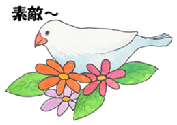 Lord Java sparrow's heavenly words. sticker #6573153