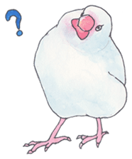 Lord Java sparrow's heavenly words. sticker #6573158