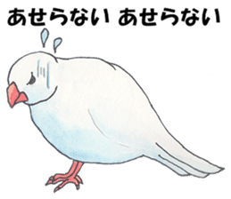 Lord Java sparrow's heavenly words. sticker #6573163