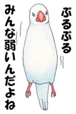 Lord Java sparrow's heavenly words. sticker #6573165